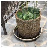 Heavy Stone flower pot w/plant 15'x15ï¿½