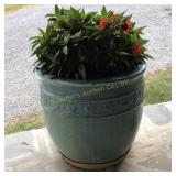 Ceramic flower pot w/impatiens 20'h