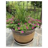 Brown Pot w/ plants 13' x 18ï¿½