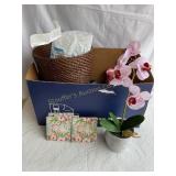 Misc coasters, KN95 mask, Equate denture c