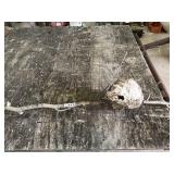 HORNETS NEST