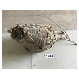 HORNETS NEST