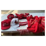 ST. LOUIS CARDINALS ITEMS,