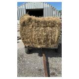 BUNDLE OF 21 BALES OF GRASS HAY