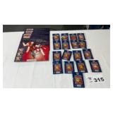 CARDINAL COLLECTION PINS
