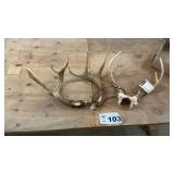 ANTLERS