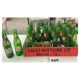 SKI BOTTLES IN EXCEL CASE