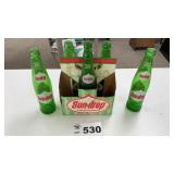 6 PACK SON DROP I CARTON