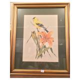 Framed Bird Print