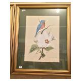 Framed Bird Print