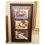 Framed Print of Birds