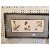 Framed Bird Print