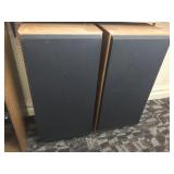 Two Realistic Speakers