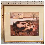 Framed Print of Pig
