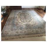 10 x 15 Area Rug