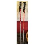 Pair of Ski Poles
