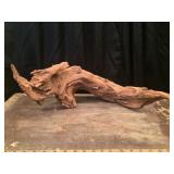 Large Piece of Driftwood