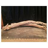 Two Dried Cactus Branches