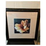 Framed Photo Print
