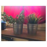 Two Artificial Plants