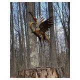 Stork