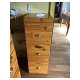 Custom Vertical/Horizontal File Cabinets (2)