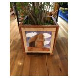 Square Planter with Tree
