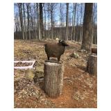 Sheep Set of 3