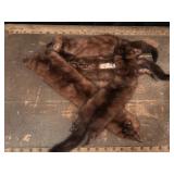 Mink Stole