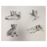 Carl Brenders - "Rocky Camp Cubs" - Ltd Edition