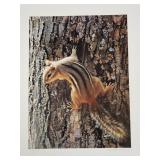Carl Brenders - "Chipmunk" - Ltd Edition