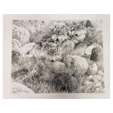 Carl Brenders - "Study for One to One" - Ltd Ed