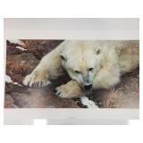 Carl Brenders - "Polar Bear" - Ltd Edition