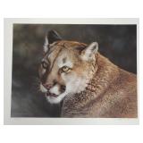 Carl Brenders - "Cougar" - Ltd Edition