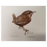 Carl Brenders - "Wren Study" - Hand-Signed