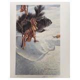 Robert Bateman - "Black Squirrel" - Ltd Edition