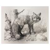 Carl Brenders - "Red Fox Study" - Ltd Edition