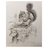 Carl Brenders - "Squirrel