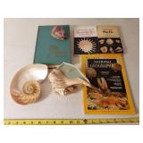 Seashells & Shell Books