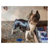 Cast Iron Dog