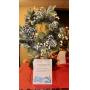 Grundy County Historical Society - Festival of Trees