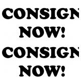 Kendall County Fair Consignment Auction