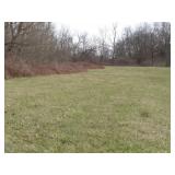 Real Estate Auction