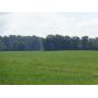 Land Auction