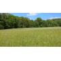 26 Acres Poor House Road Hartselle Sold in 2 Tracts