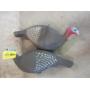 Nov Guns, Sporting Goods & Antique - Prairie Farm, WI