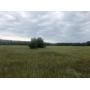 3 Unique Buildable Parcels - Spooner, WI