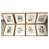 8 framed colored botanical prints