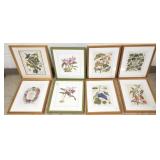 8 framed colored botanical prints