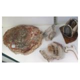 Approx. 12" diameter petrified wood slabs, smaller